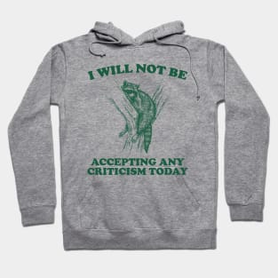 Will Not Be Accepting Any Criticism Today Retro Shirt, Funny Raccoon Meme Hoodie